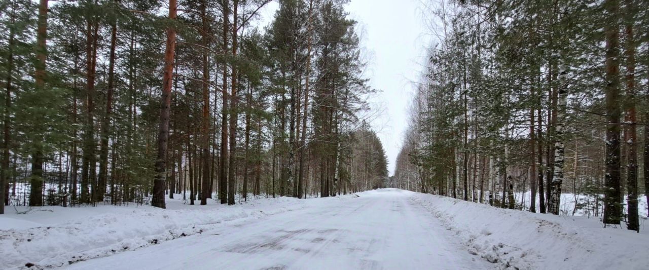 дом р-н Оричевский ст Двуречье-2 4, Спас-Талицкое с пос фото 38