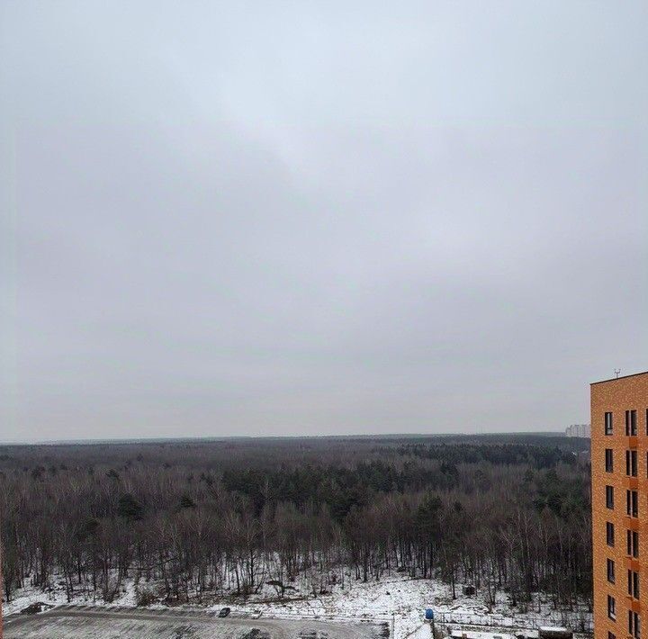 квартира городской округ Ленинский рп Дрожжино ул Южная 12к/2 Бульвар Дмитрия Донского фото 16