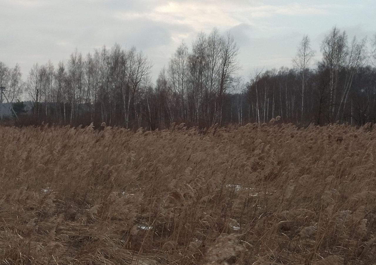 земля городской округ Воскресенск 65 км, СТСН Возрождение, Новорязанское шоссе фото 7