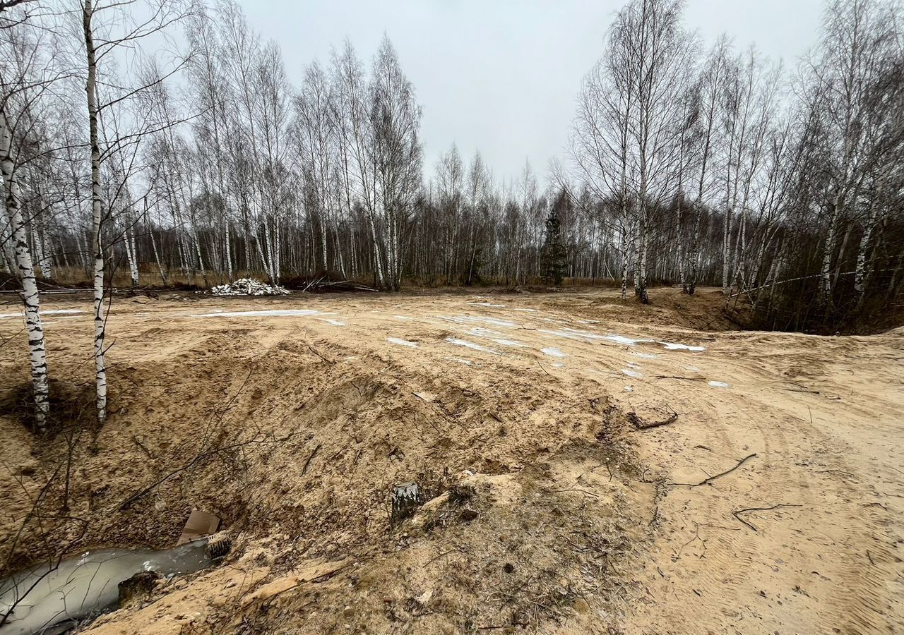 земля р-н Рязанский с Дубровичи ул Берёзовая Дубровическое сельское поселение, коттеджный пос. Дубровка, Рязань фото 10