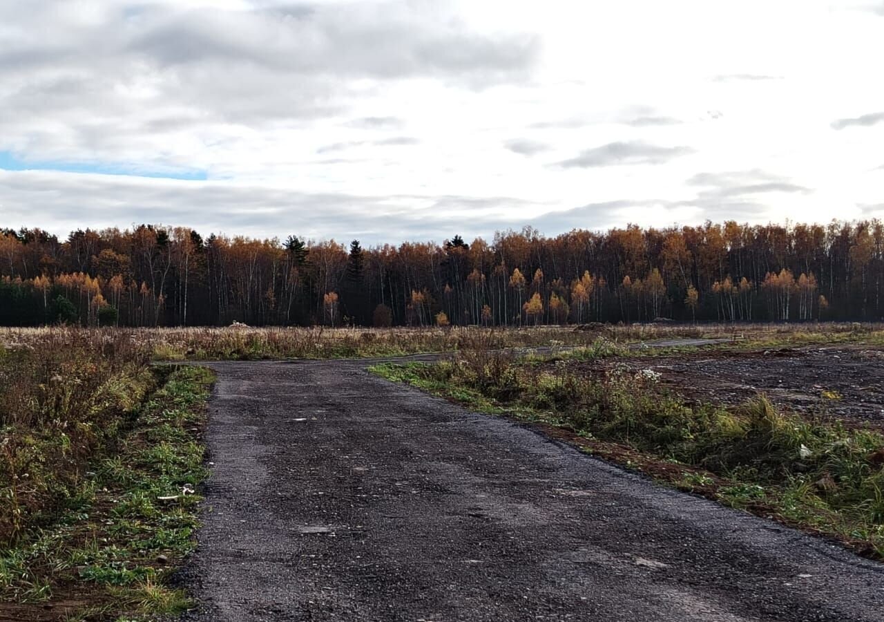 земля городской округ Серпухов п Пролетарский 63 км, дп. Новые Велеми, г. о. Серпухов, Симферопольское шоссе фото 1