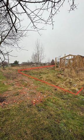 садовое товарищество Бриз, Светлогорск фото