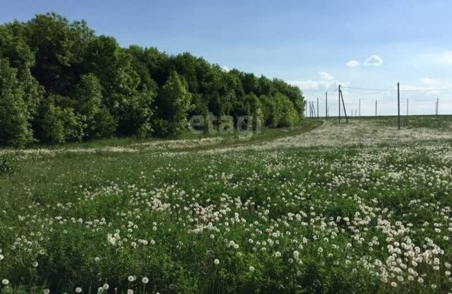 земля д Кулушево Биюрганское сельское поселение фото