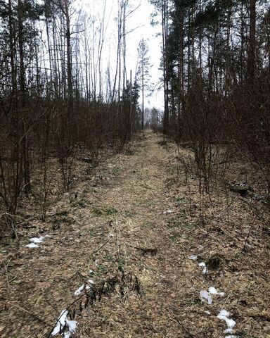 сельское поселение Алекино, Таруса фото