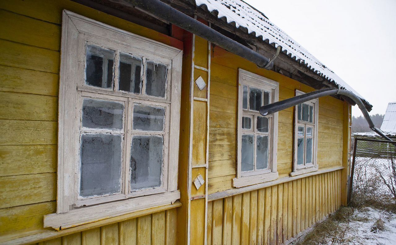 дом р-н Псковский д Боровицы Палкино, Ядровская волость фото 5