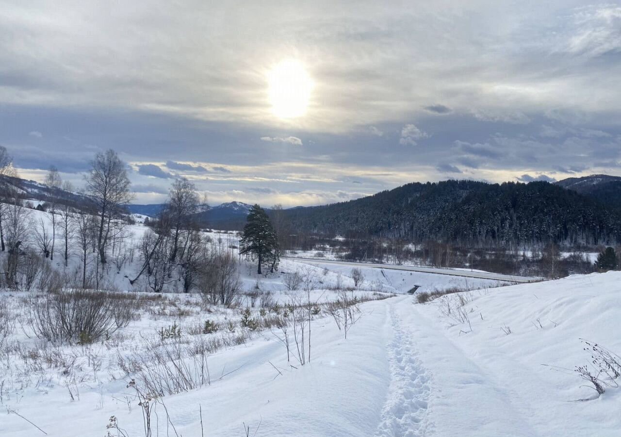 земля р-н Майминский с Бирюля Горно-Алтайск фото 5