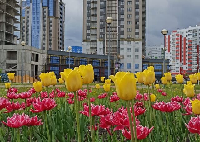 дом 1с/6 ЖК «Созвездие» Засечный сельсовет фото