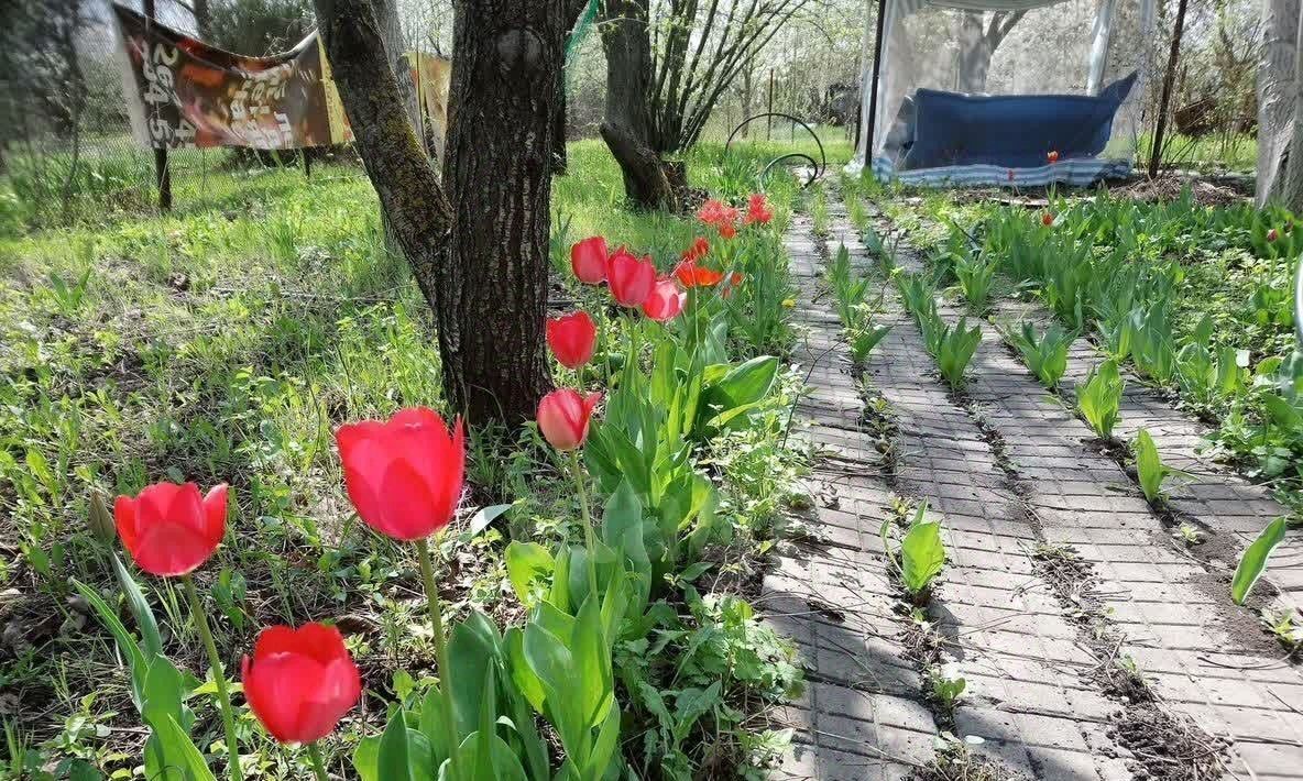 дом р-н Аксайский х Истомино снт Лазурный Истоминское с/пос, 21-я линия фото 23