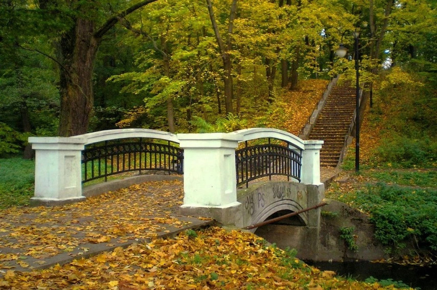 квартира г Калининград р-н Центральный ул Коломенская 1 фото 3