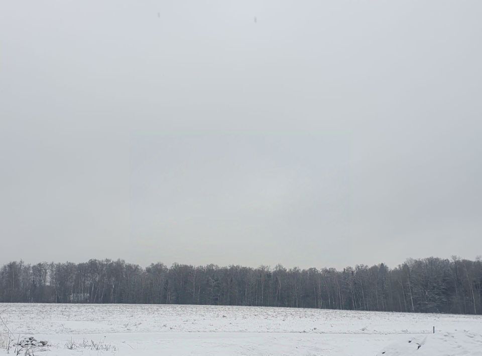 дом городской округ Пушкинский с. Деревня Старое фото 16