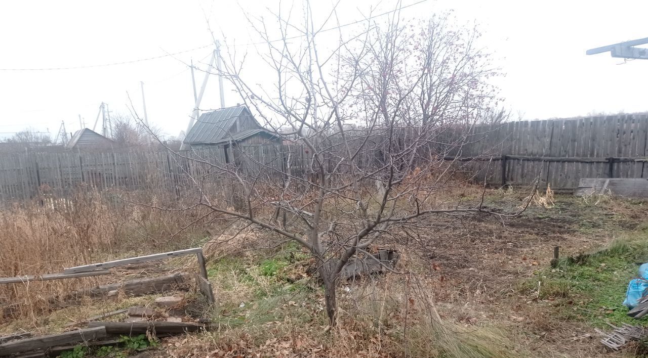 земля г Омск р-н Советский снт Дзержинец Советский АО, Береговой фото 3