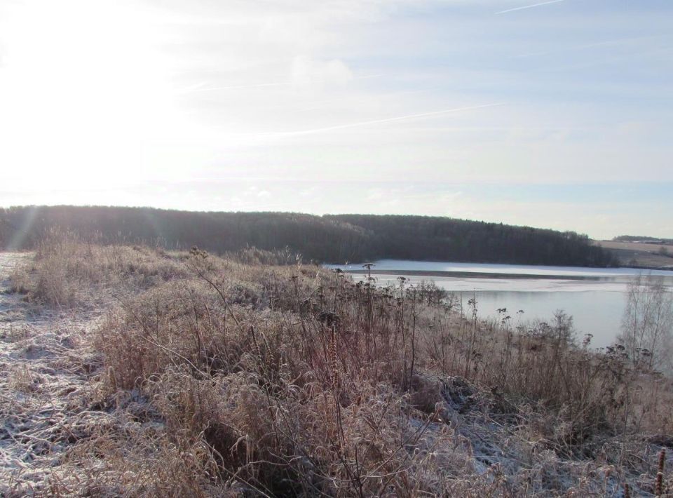 офис городской округ Коломенский д Подмалинки Коломна городской округ фото 1