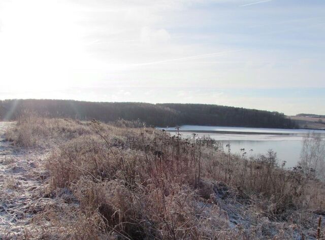 офис д Подмалинки Коломна городской округ фото