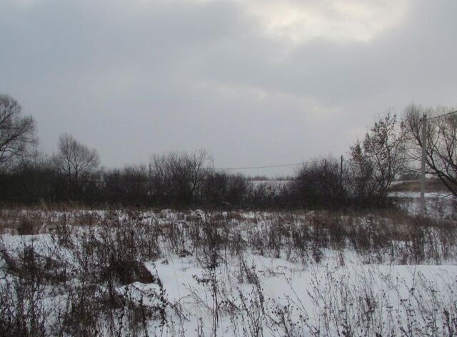 офис д Сычёво Коломна городской округ фото