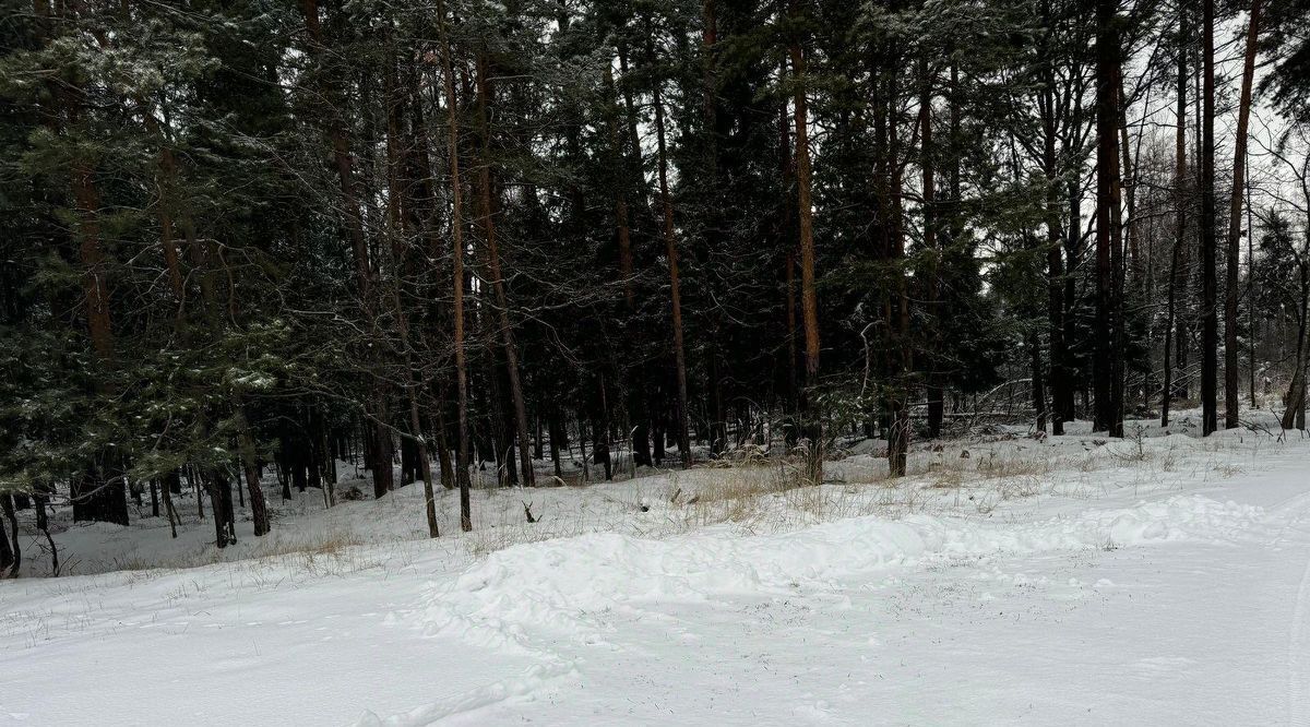 офис городской округ Богородский д Марьино ул. Центральная, 40 фото 2