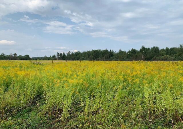 д Гаврино пр-д Северный 52 км, коттеджный пос. Новое Гаврино, Большие Дворы, Горьковское шоссе фото