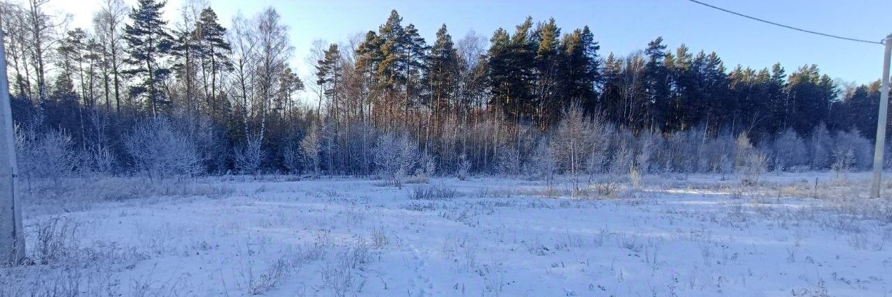 офис городской округ Павловский Посад д Логиново фото 1