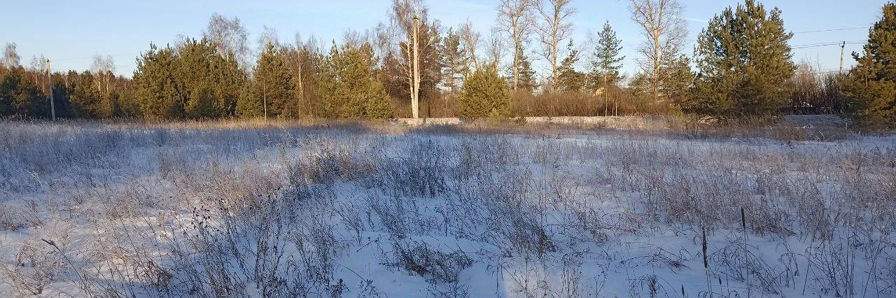 офис городской округ Павловский Посад д Логиново фото 1