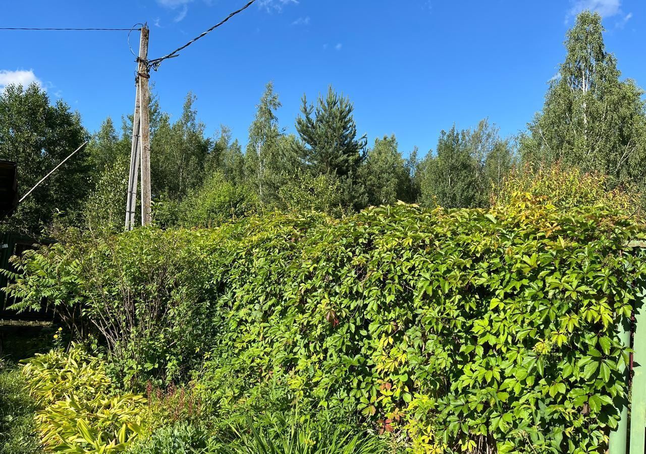 дом городской округ Орехово-Зуевский д Давыдово 60 км, Берёзовая ул, СНТ Виктория, Егорьевское шоссе фото 13