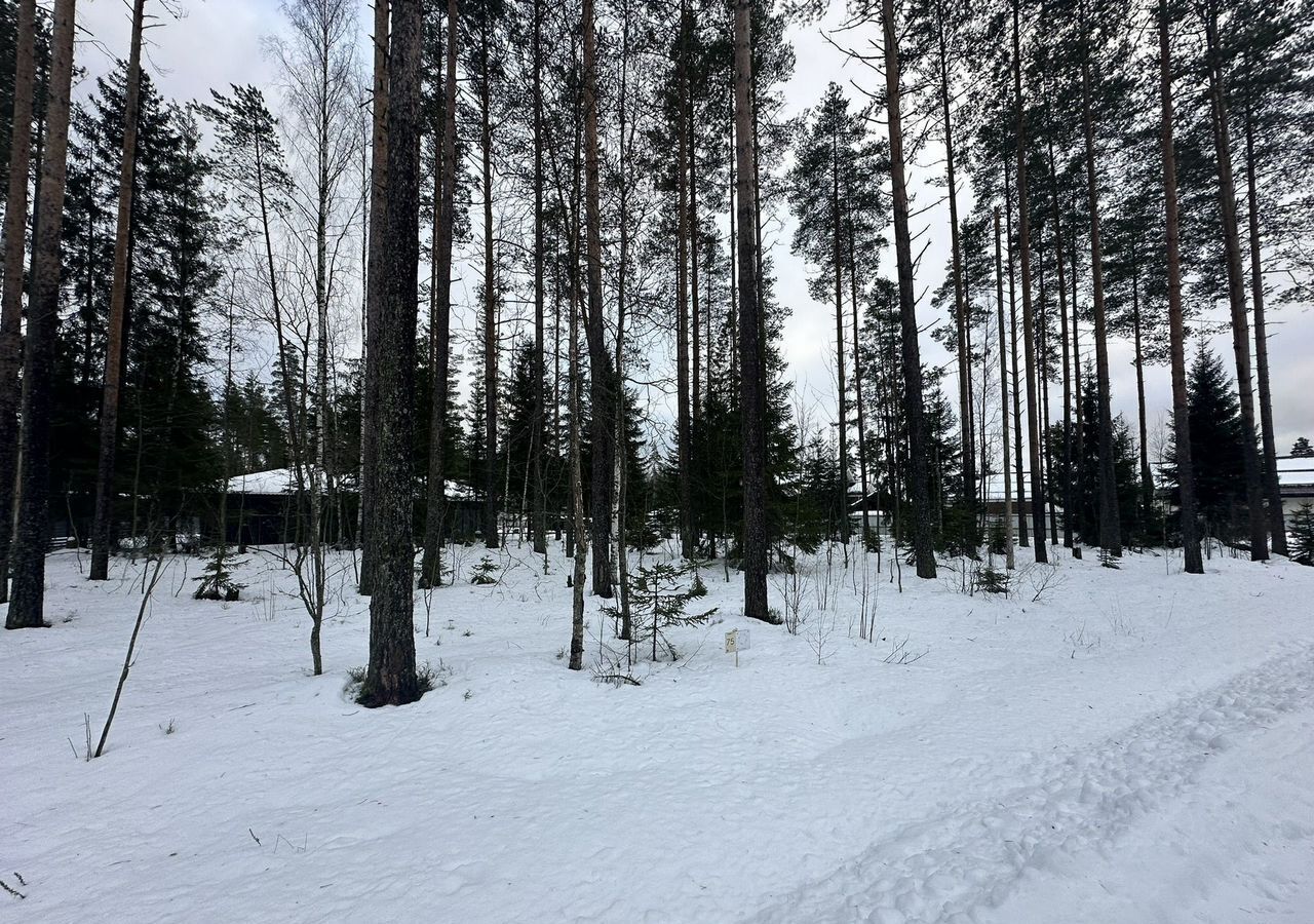 земля р-н Всеволожский тер История Парк Приозерское шоссе, 21 км, Агалатовское сельское поселение, Агалатово, дачное некоммерческое партнерство фото 16