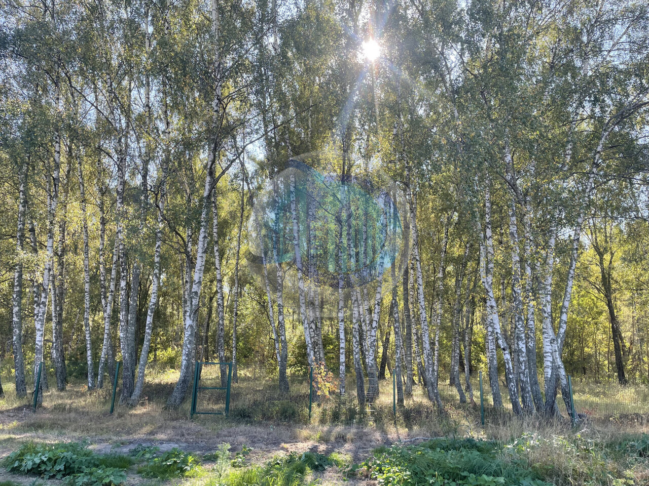 земля городской округ Раменский с Юсупово Домодедовский фото 9