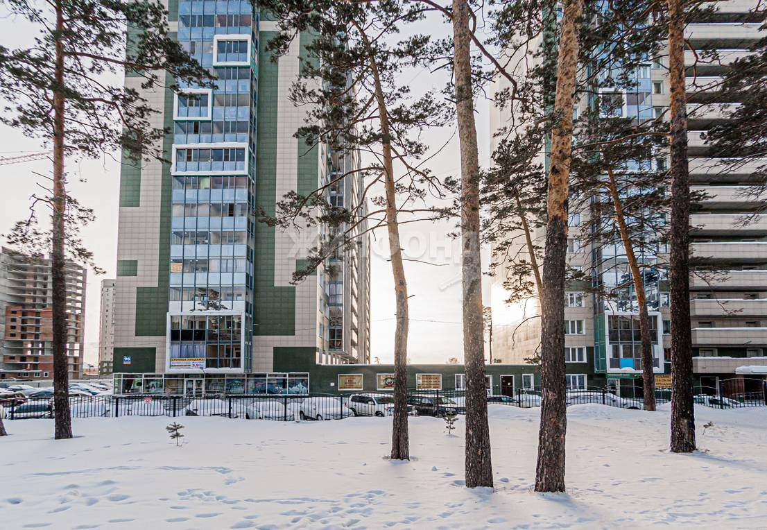 квартира г Новосибирск метро Площадь Гарина-Михайловского р-н Заельцовский ул Сухарная 96 фото 11