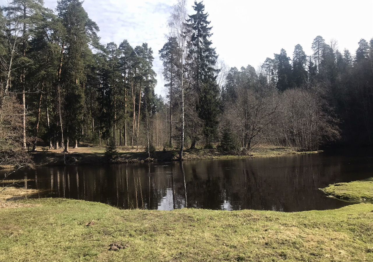 квартира р-н Гатчинский п Сиверский ул Толмачева 71 городской пос. Сиверский фото 25