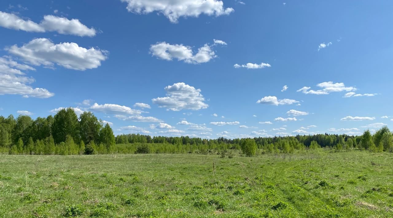 земля р-н Краснобаковский починок Вязовой фото 1