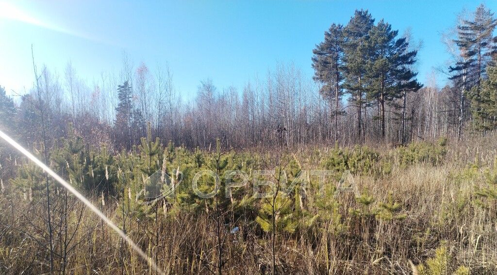 земля г Тюмень р-н Центральный снт Липовый остров ул Западная 2-я Центральный административный округ фото 5