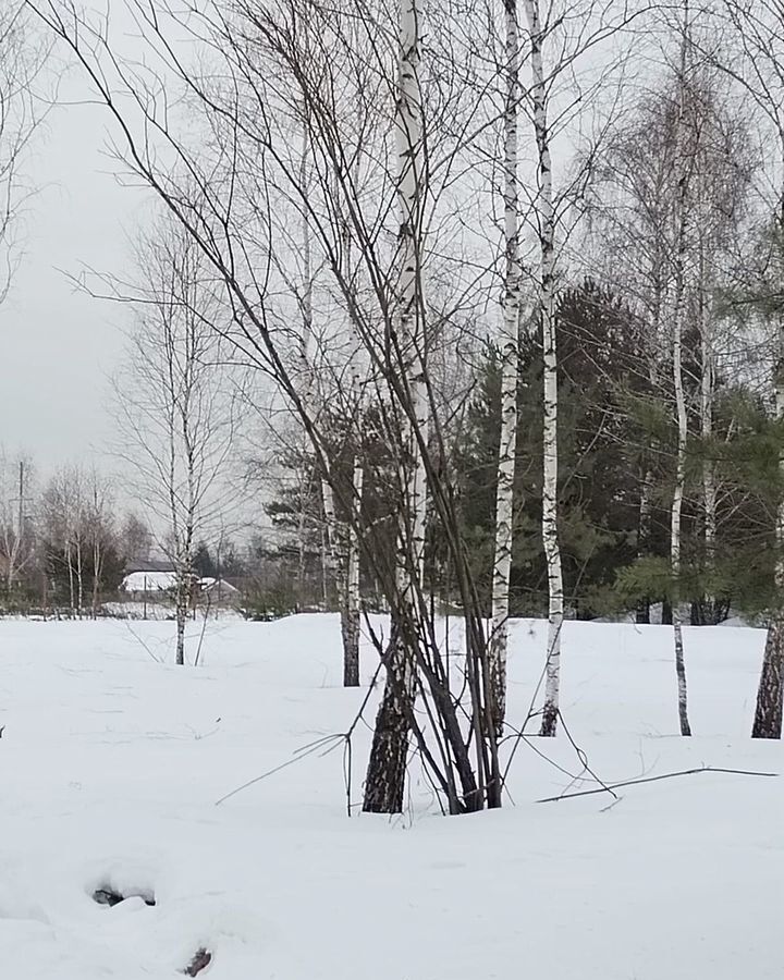 земля городской округ Пушкинский с Братовщина ул Центральная 21 км, Пушкино, Ярославское шоссе фото 1