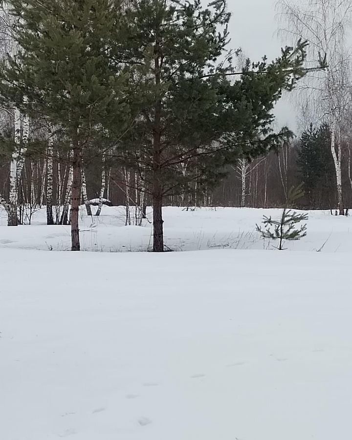 земля городской округ Пушкинский с Братовщина ул Центральная 21 км, Пушкино, Ярославское шоссе фото 2