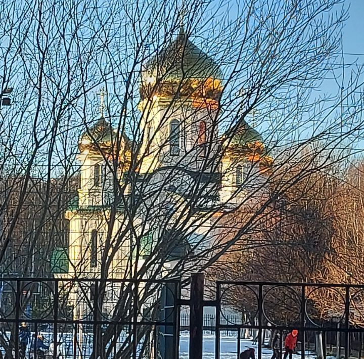 квартира г Санкт-Петербург метро Комендантский Проспект пр-кт Шуваловский 53к/2 округ Юнтолово фото 24