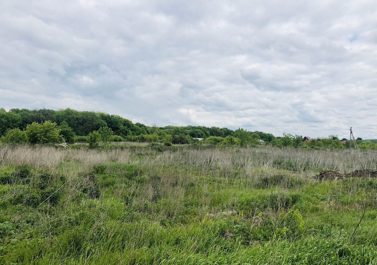 земля городской округ Шебекинский п Батрацкая Дача Разумное фото 12