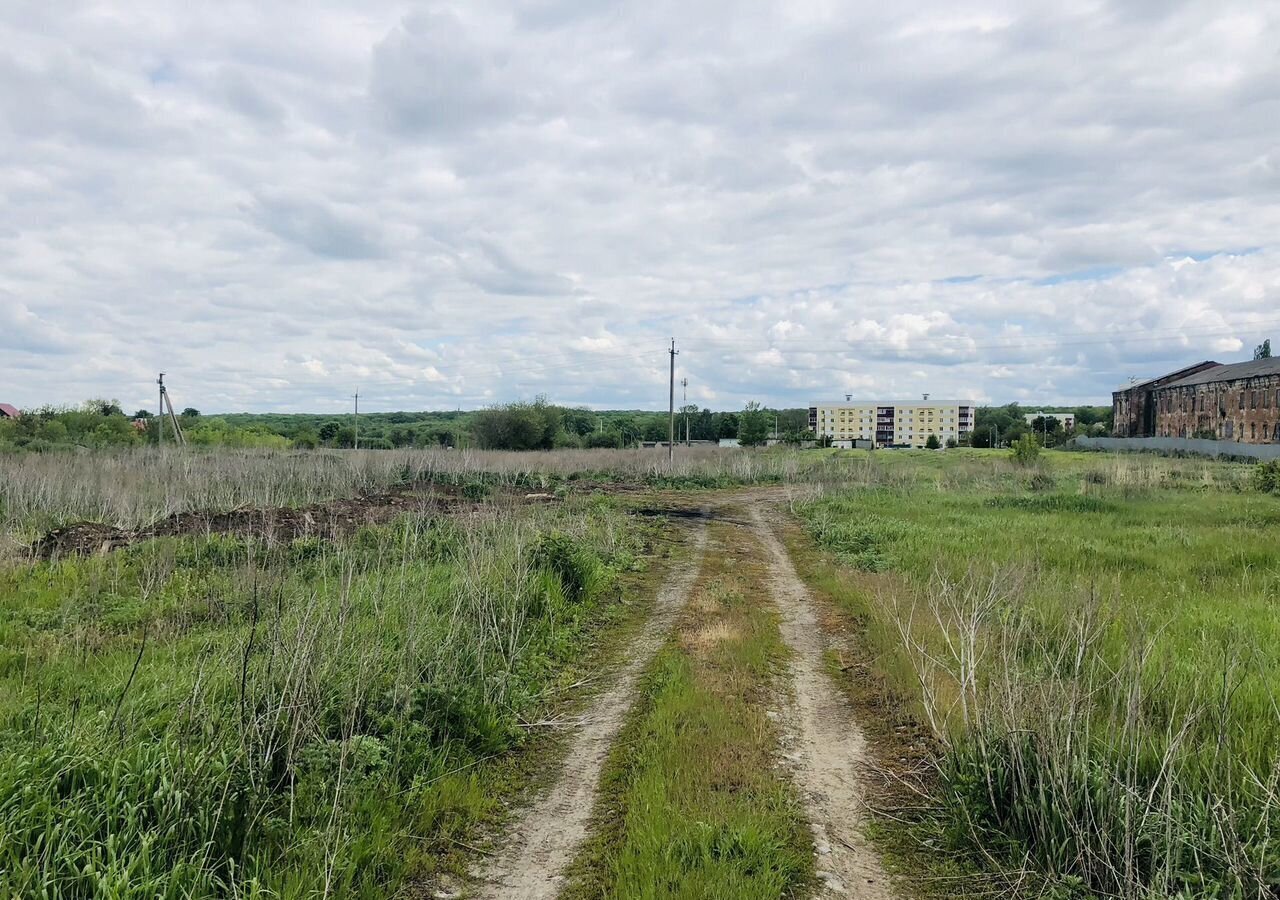 земля городской округ Шебекинский п Батрацкая Дача Разумное фото 11