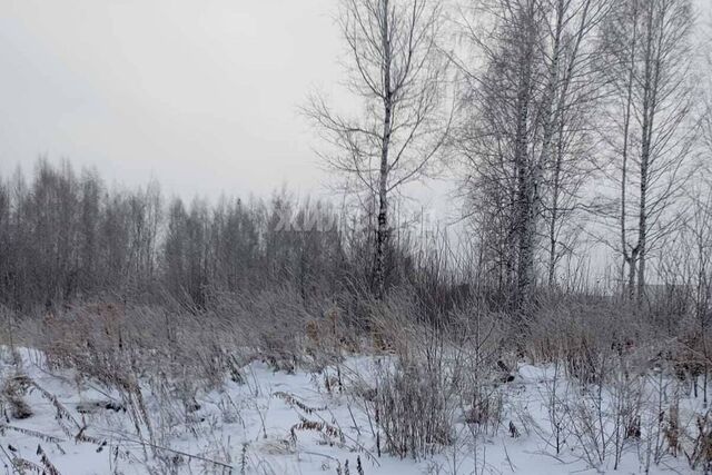 садоводческое товарищество Заря фото