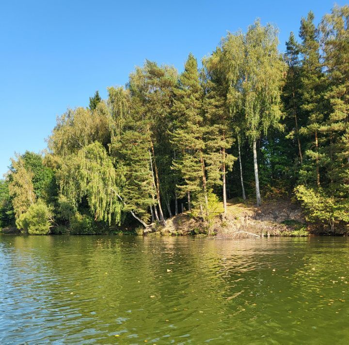 дом городской округ Истра д Никитское фото 26