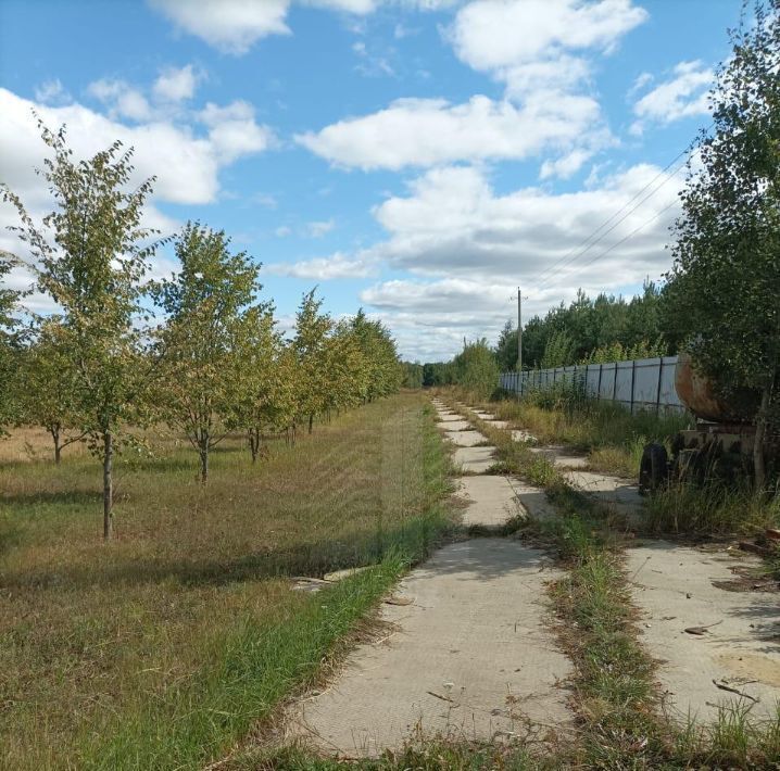 офис городской округ Зарайск д Потлово фото 4