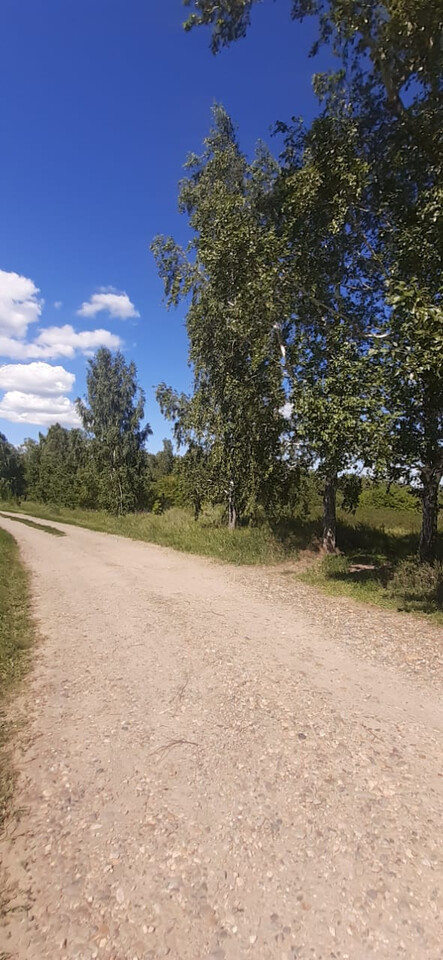 земля г Барнаул п Бельмесево ул Лучистая 87 р-н Центральный фото 8