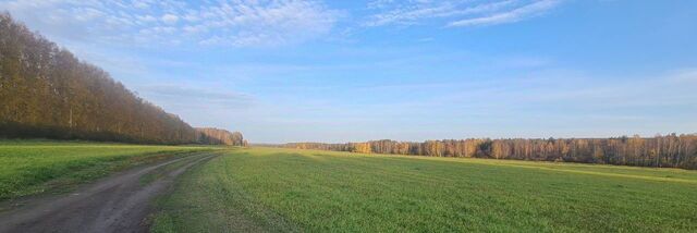 р-н Чкаловский Чкаловская Кургановский дп, Своя Атмосфера кп фото