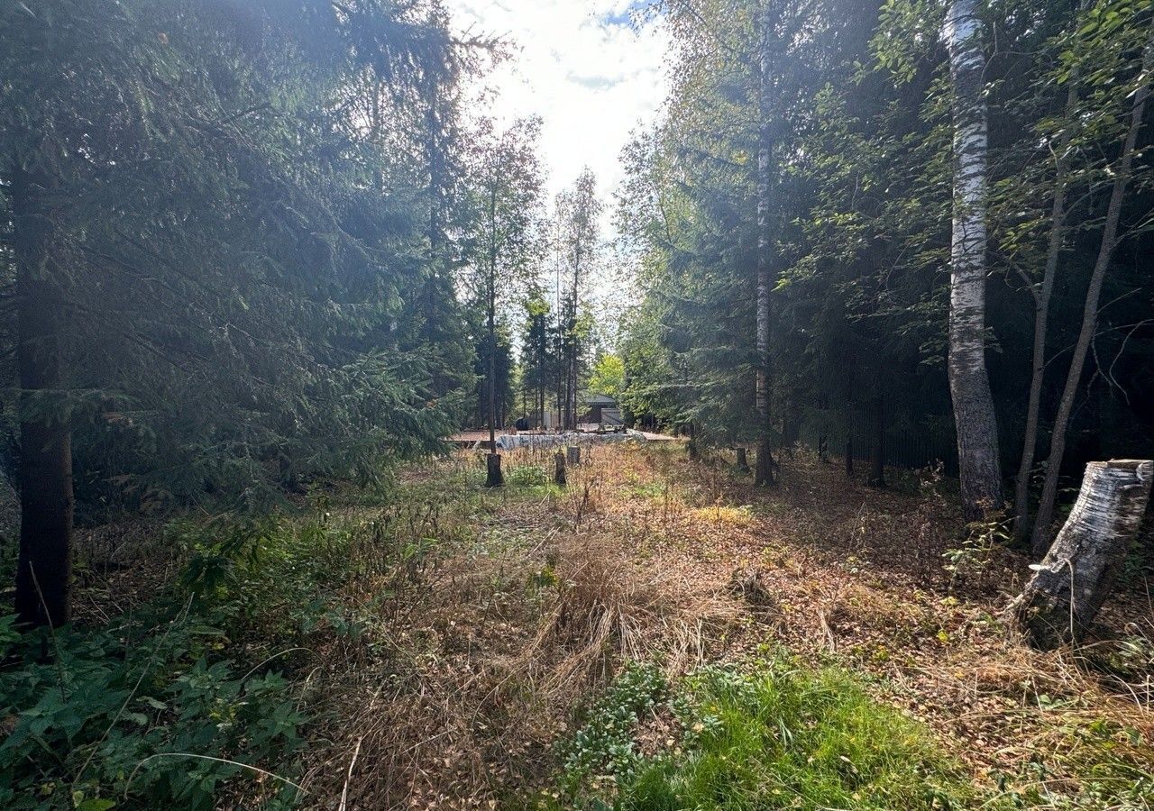 земля городской округ Солнечногорск рп Андреевка ул Жилинская 22 км, Андреевка, Пятницкое шоссе фото 7