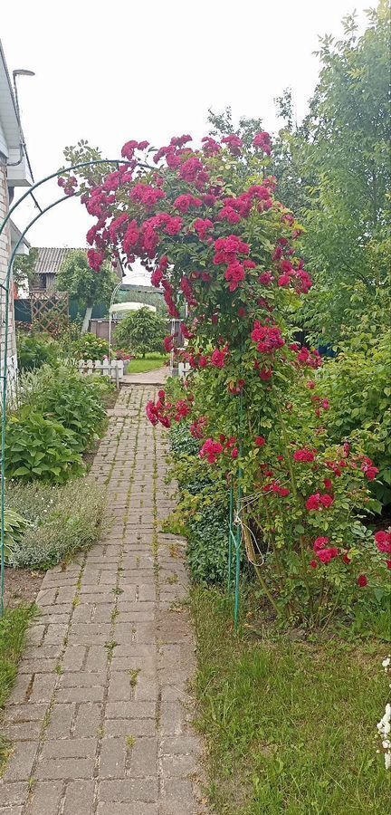 дом р-н Зеленоградский п Мельниково ул Центральная Зеленоградск фото 30