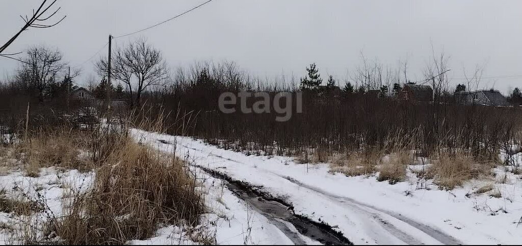 земля р-н Семилукский с Терновое ул Терновская фото 1