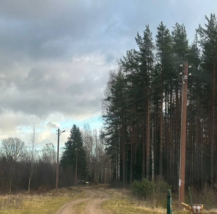 земля р-н Всеволожский д Ладожский Трудпоселок Рахьинское городское поселение фото 10