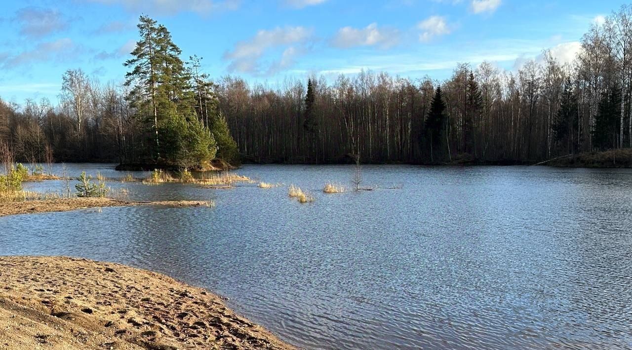 земля р-н Всеволожский д Ладожский Трудпоселок Рахьинское городское поселение фото 19