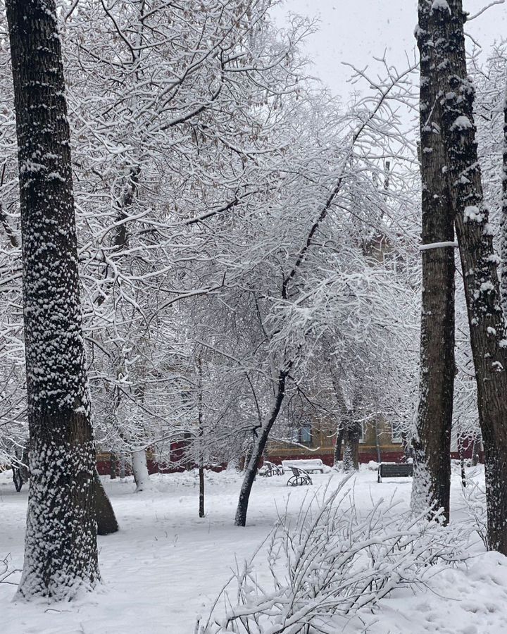 комната г Москва ул Маршала Бирюзова 17 поле, Октябрьское фото 3