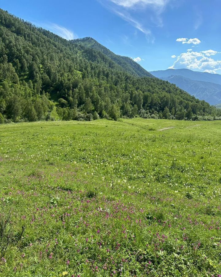 земля р-н Чемальский с Чемал Горно-Алтайск фото 3