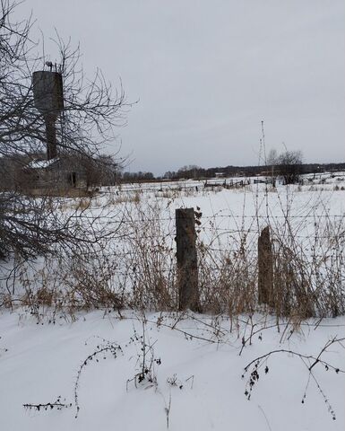 д Серебряково сельсовет, Железногорск, Частоостровский фото