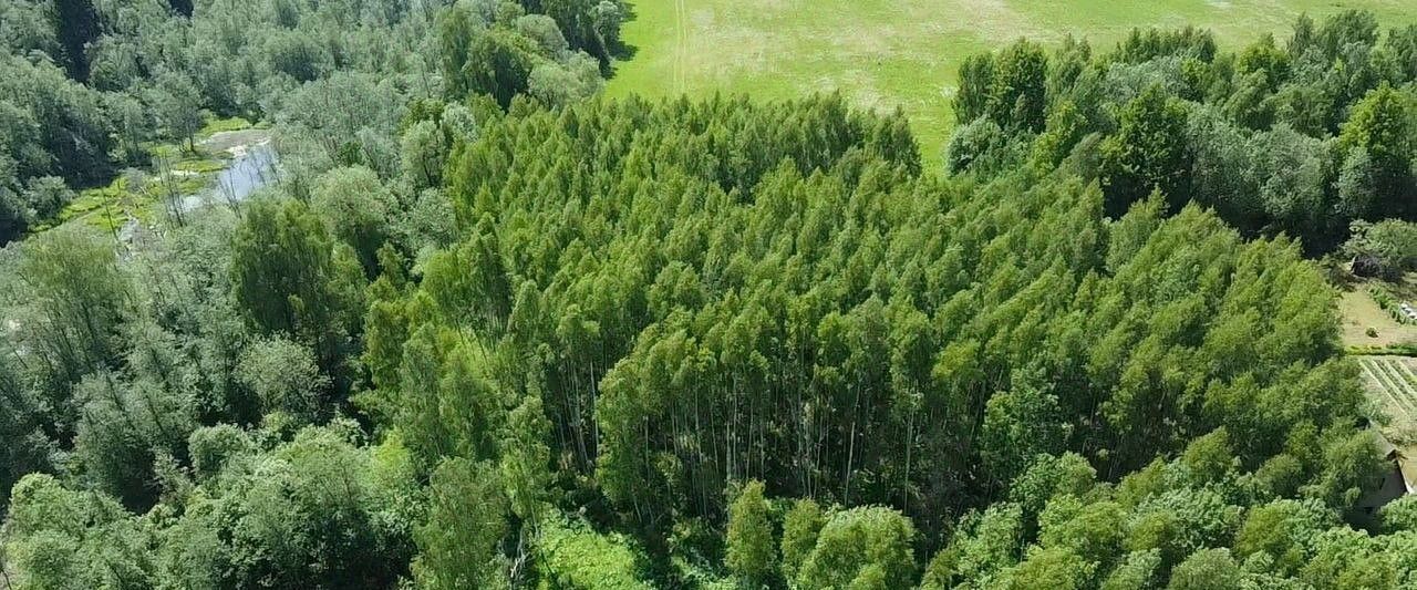 офис городской округ Волоколамский д Астафьево 6 фото 3