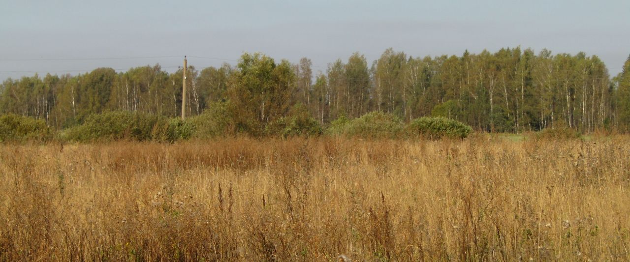 офис городской округ Рузский д Горки фото 1