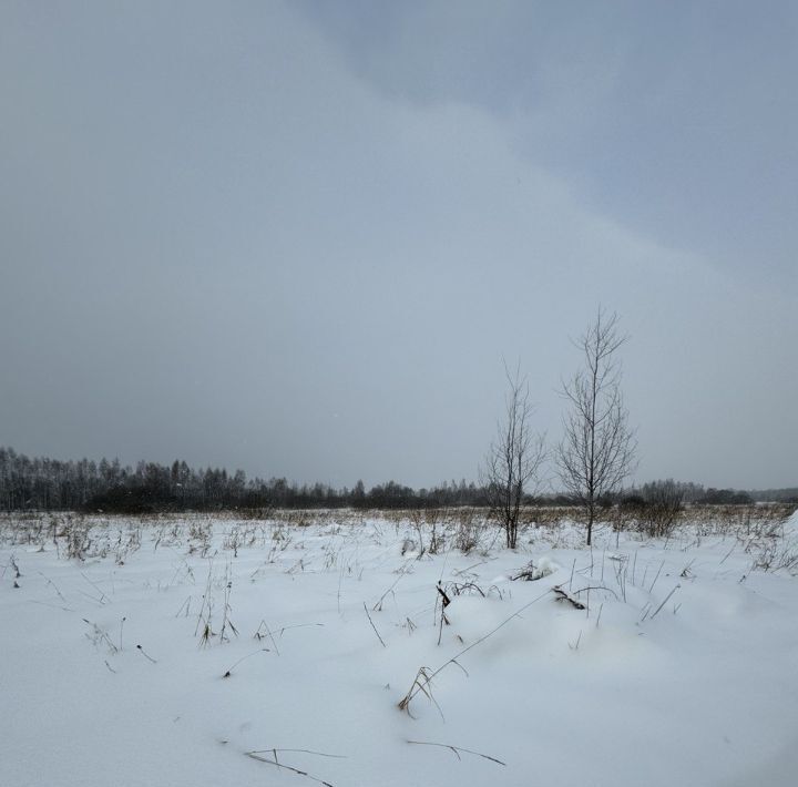 офис городской округ Талдомский д Мякишево фото 1